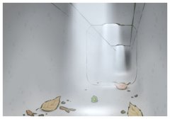 白茶的種類主分為四類?白茶怎樣區分好壞