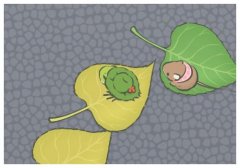 ݵǻxǰȡشЄ,ݵҪB˹